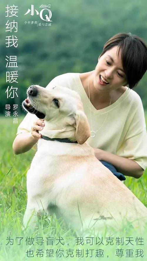 怎么做假瓦伊学院毕业证